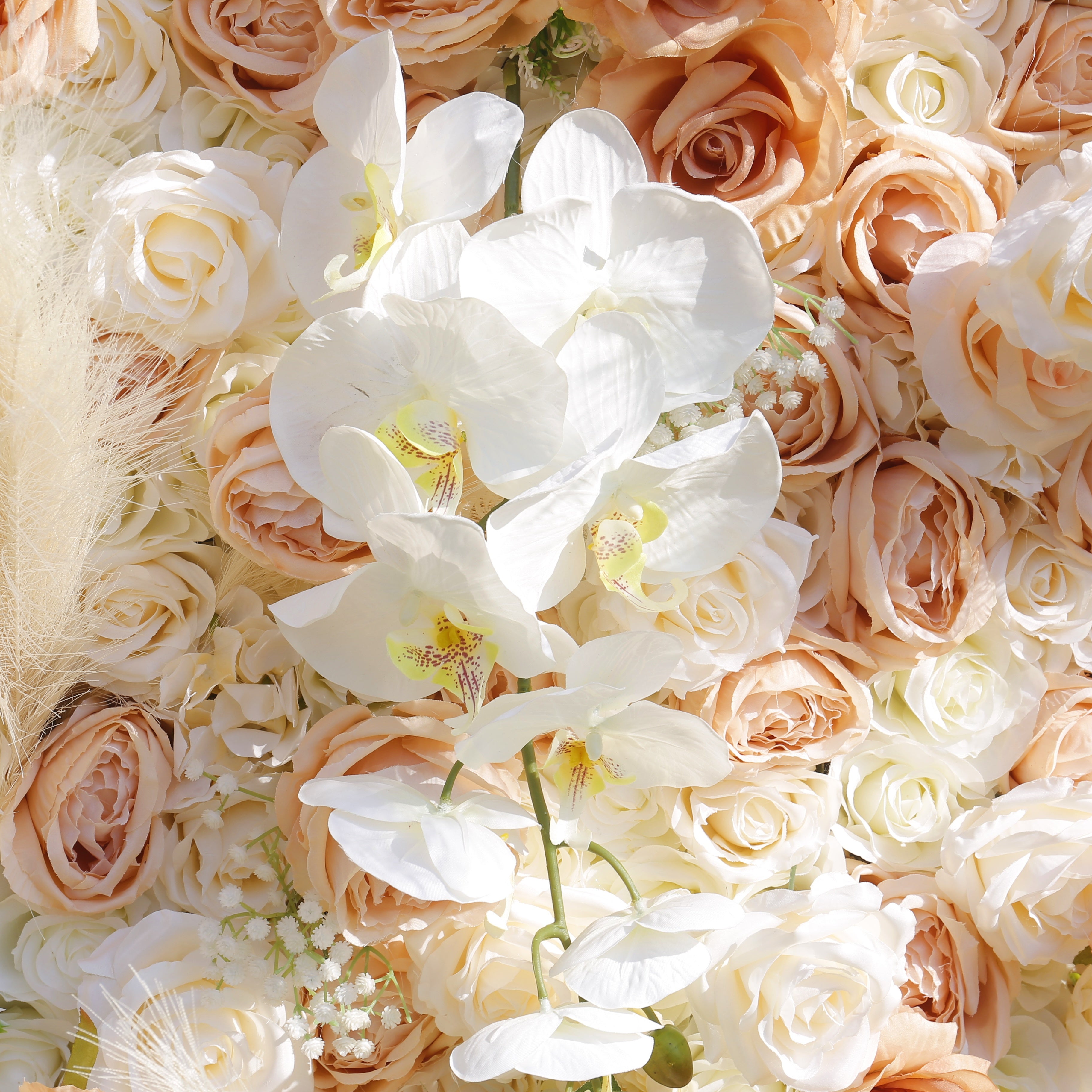 Artificial Champagne Rose Pampas Grass Roll Up Flower Wall  Backdrop ACFW-136