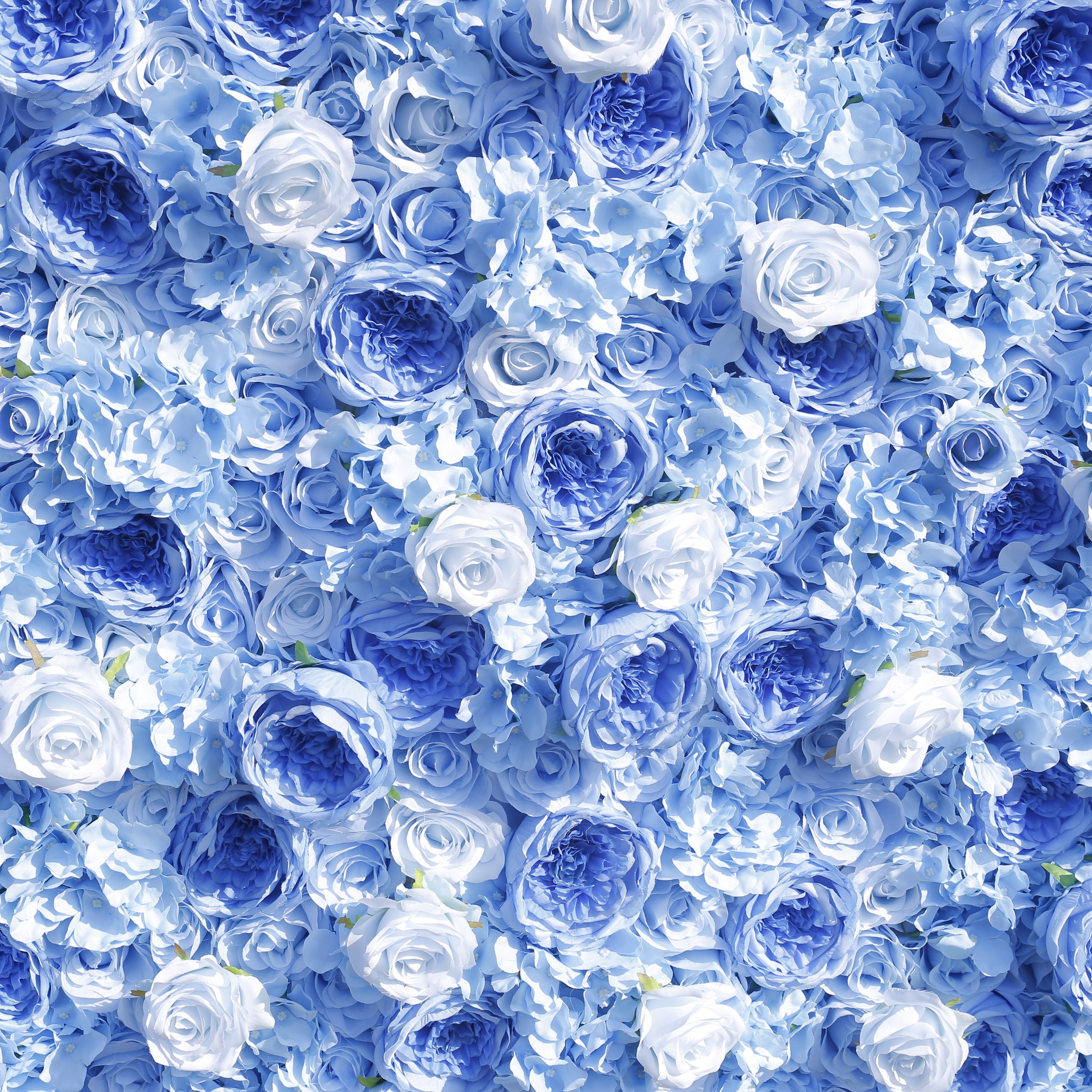 5D Light Blue Roses Rolling Up Artificial Flower Wall Backdrop ACFW-137