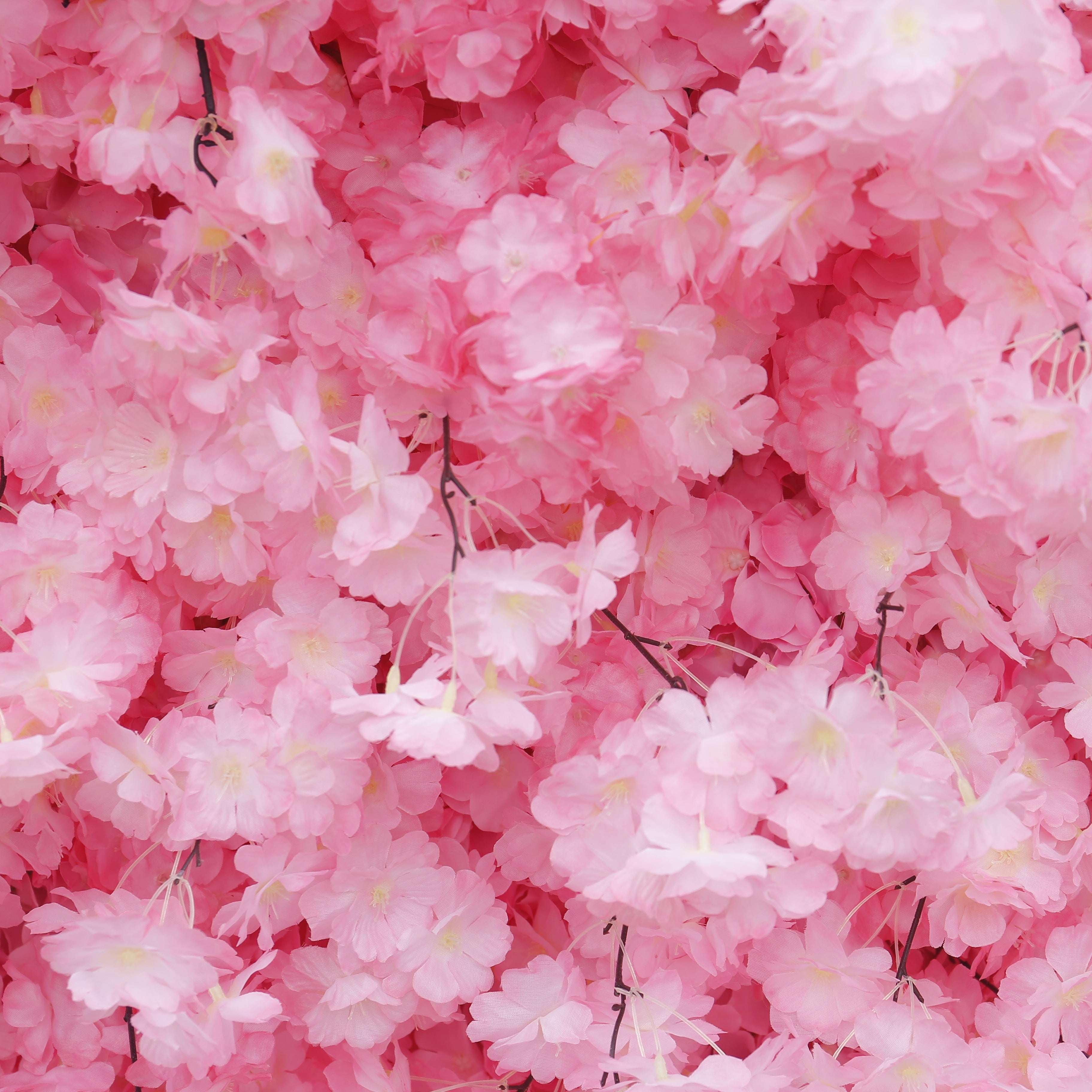 Pink & White Cherry Blossom Fabric Wall Rolling Up Flower Backdrop ACFW-142