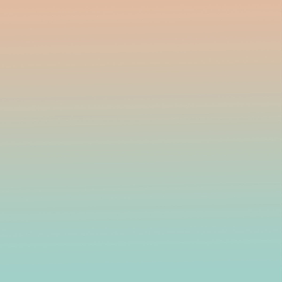 Portrait Photography Backdrop Gradient Blush Green Studio Backdrop BRP