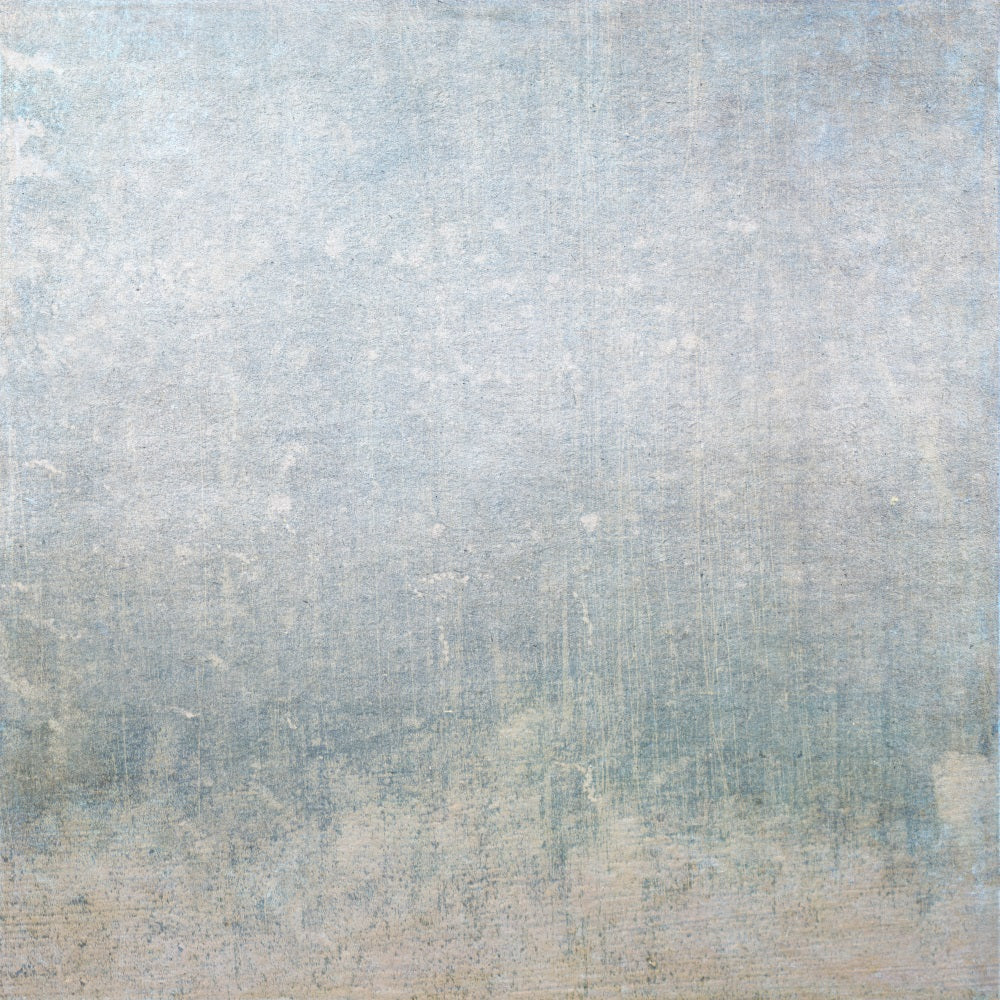 Portrait Backdrop Vintage Blue Wall Texture Backdrop BRP11-623