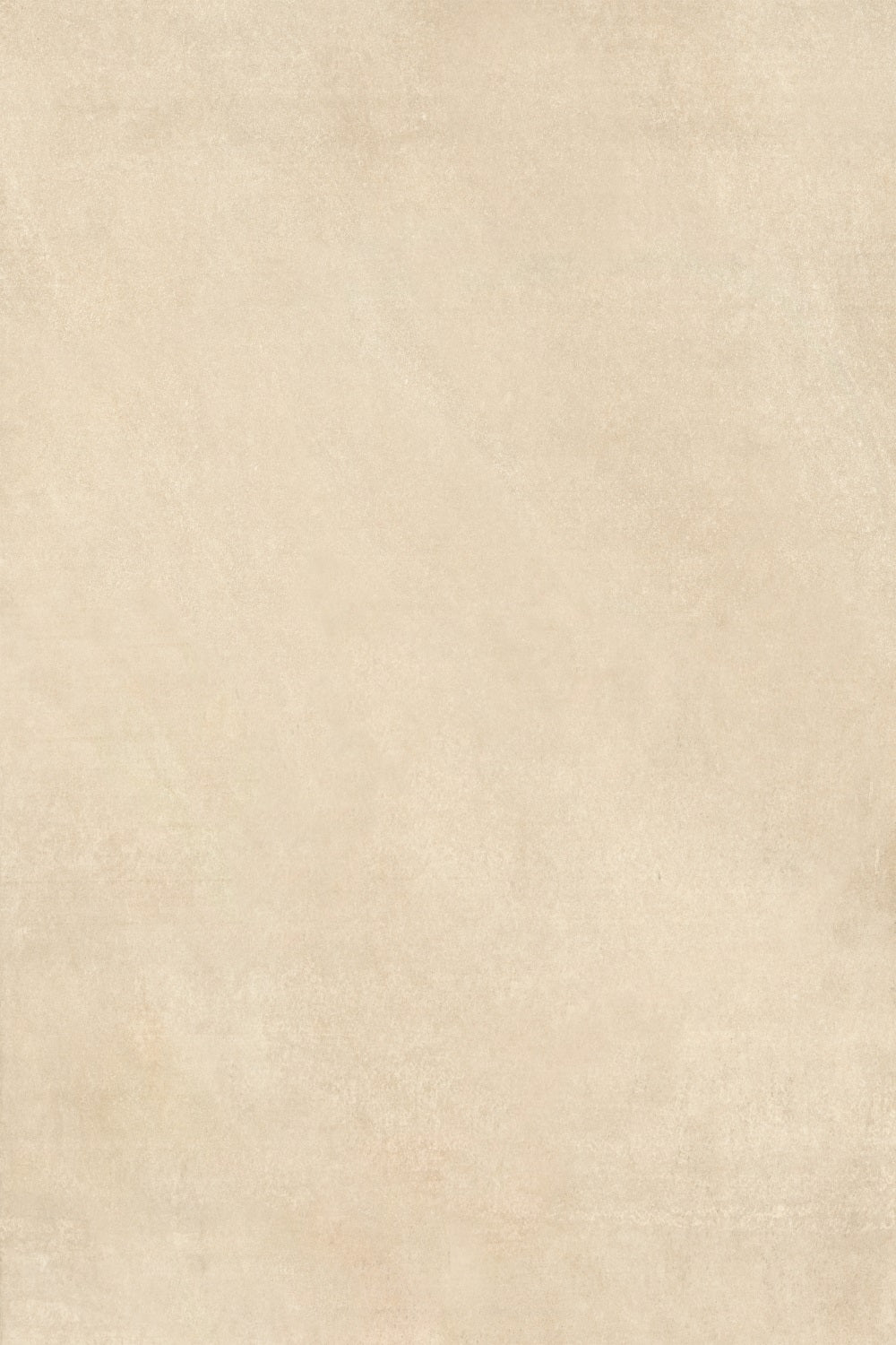 Backdrop Portrait Beige Texture Wall Backdrop BRP11-625