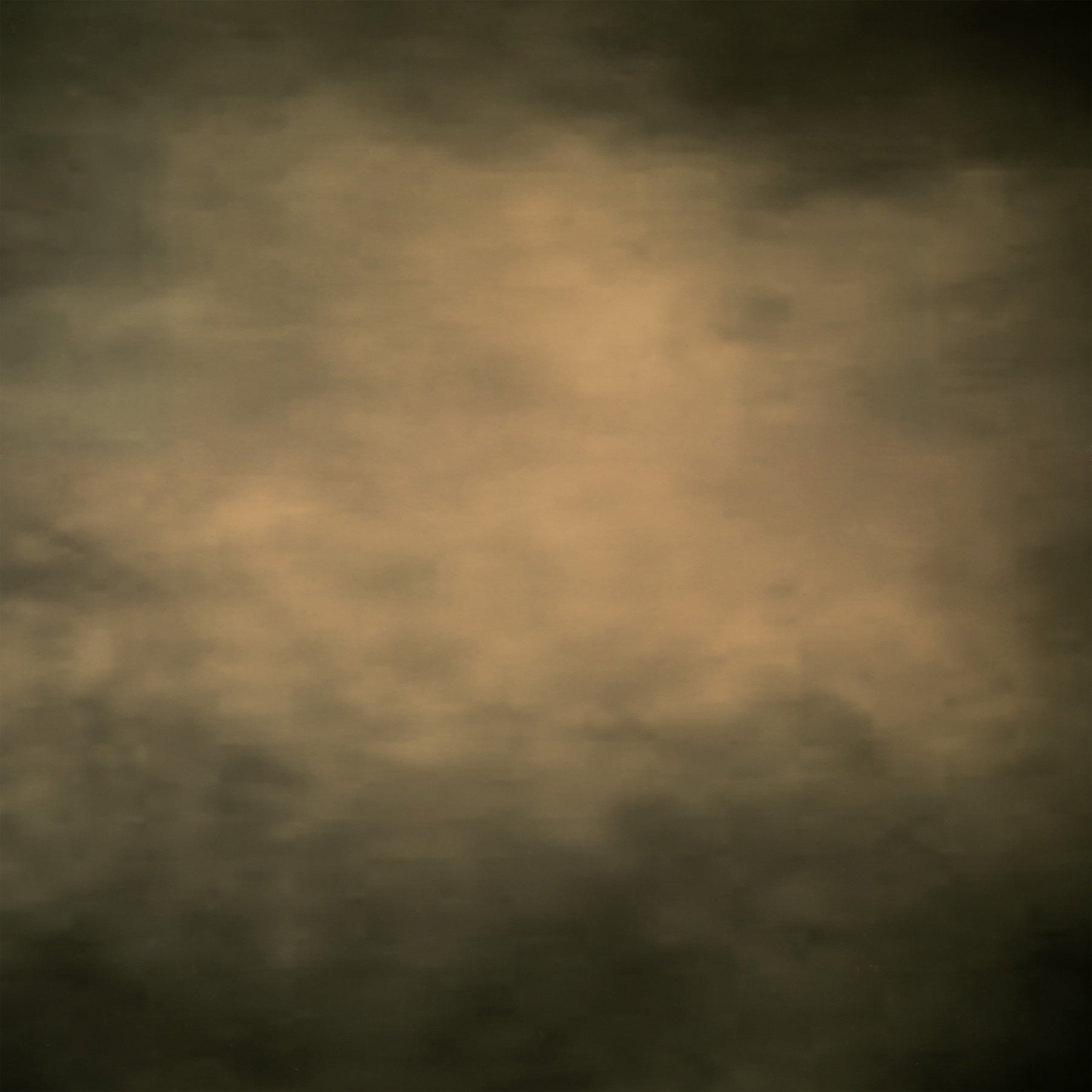 Portrait Photo Backdrops Earthy Tones Decor Backdrop BRP11-632