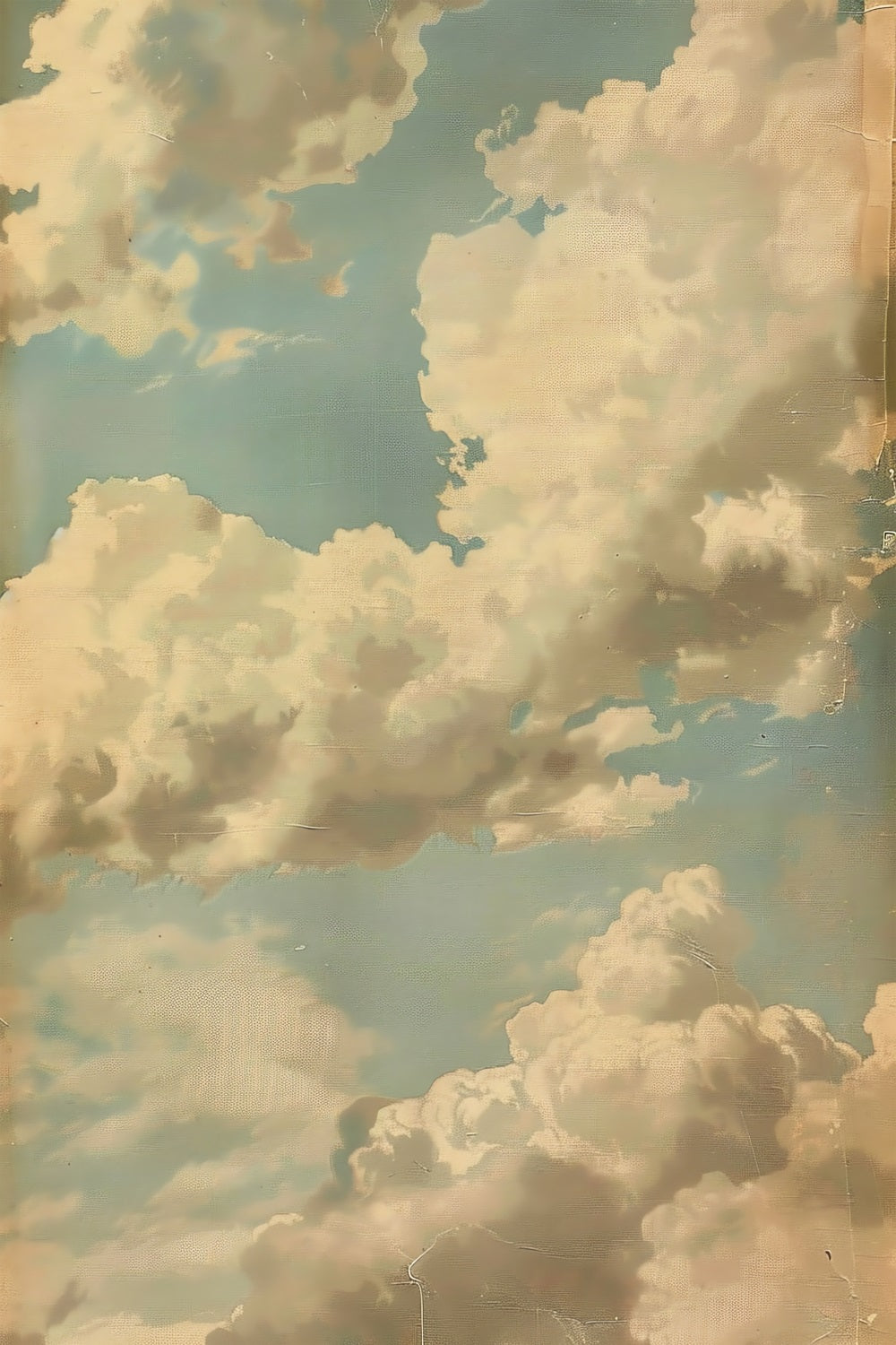Portrait Backdrop Sky Blue Decor Cloudy Wall Backdrop BRP11-639