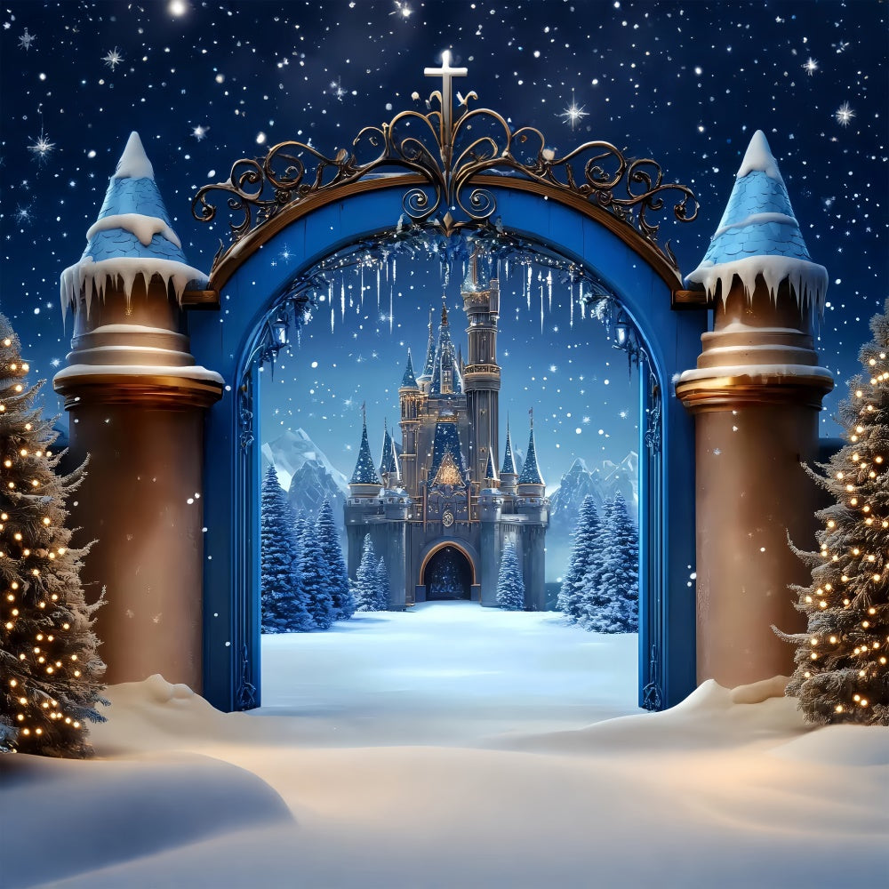 Christmas Backdrops For Photos Royal Dream Castle Backdrop BRP57-117