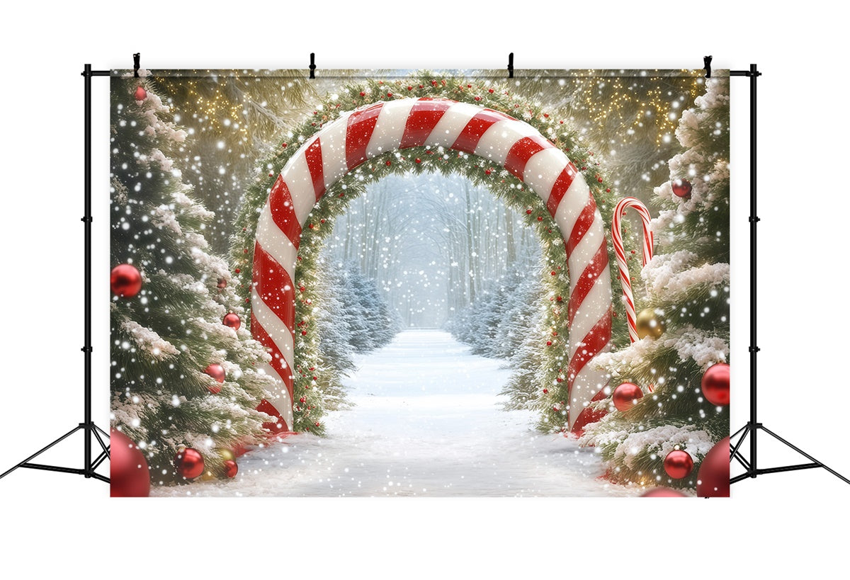 Christmas Backdrops Candy Cane Winter Forest Backdrop BRP57-120