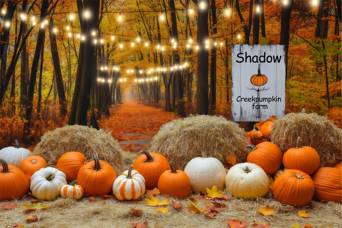 Fall Photo Backdrop Lantern Pumpkin Forest Backdrop BRP57-178