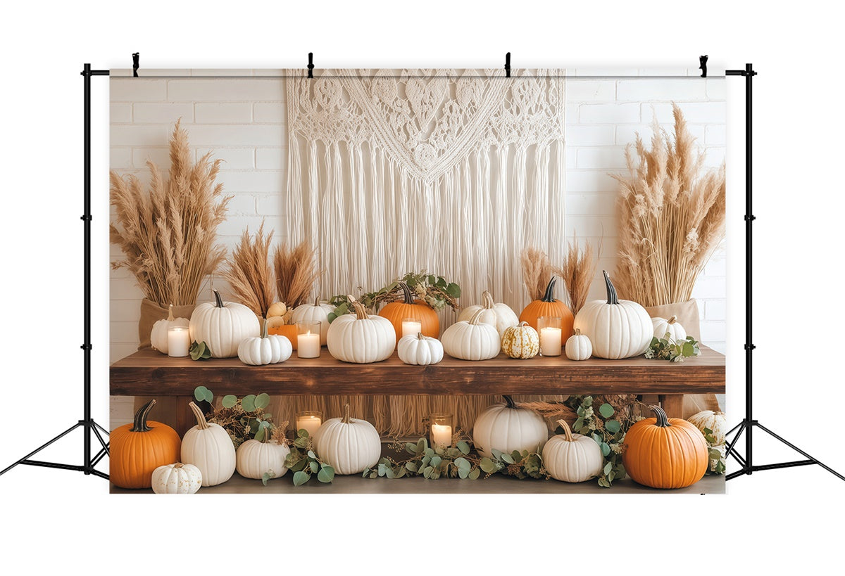 Bohemian Backdrop Macrame Harvest Display Fall Backdrop BRP57-197