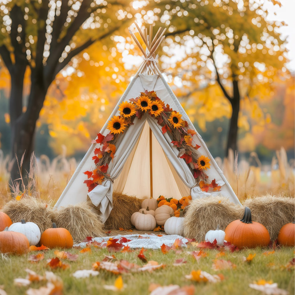 Newborn Photography Backdrops Maple Glow Tent Backdrop BRP57-268