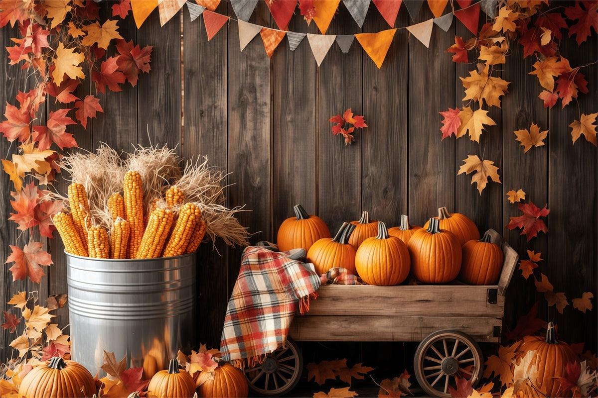 Newborn Photoshoot Backdrop Rustic Autumn Cart Backdrop BRP57-270
