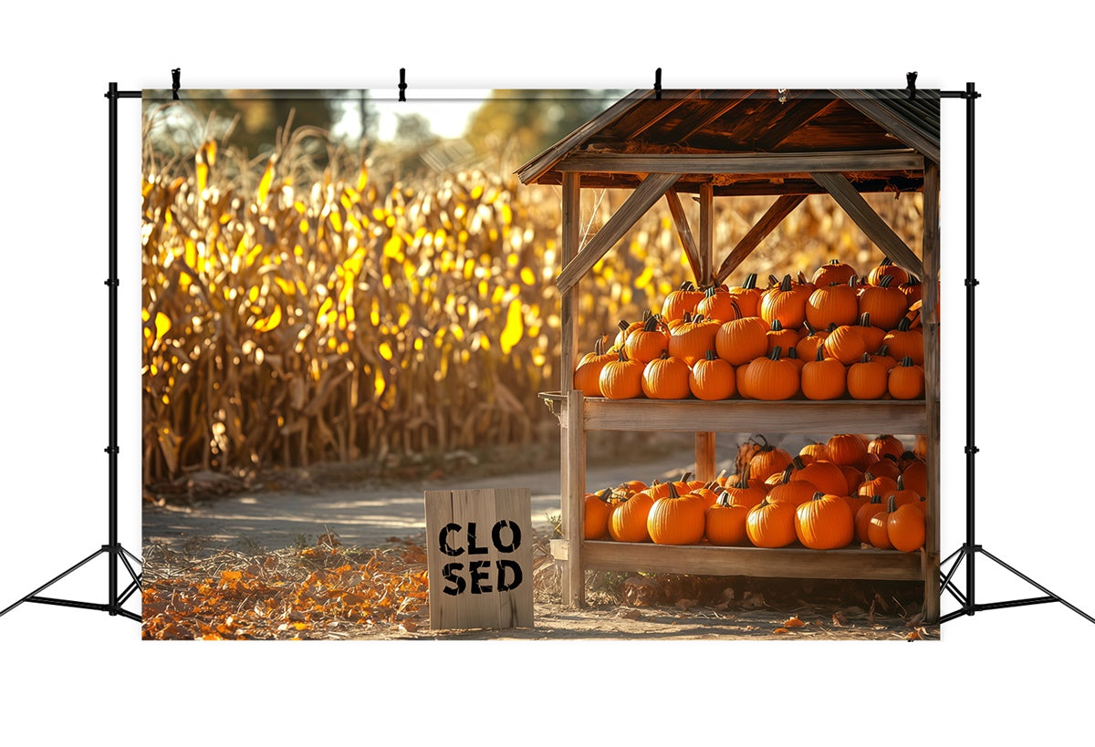Backdrop For Thanksgiving Cornfield Pumpkin Booth Backdrop BRP57-329