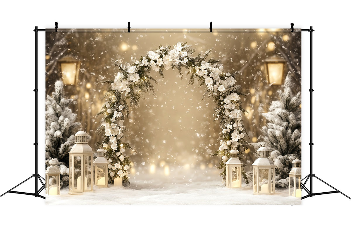 Winter Photo Backdrop Elegance Lantern Path Backdrop BRP57-353
