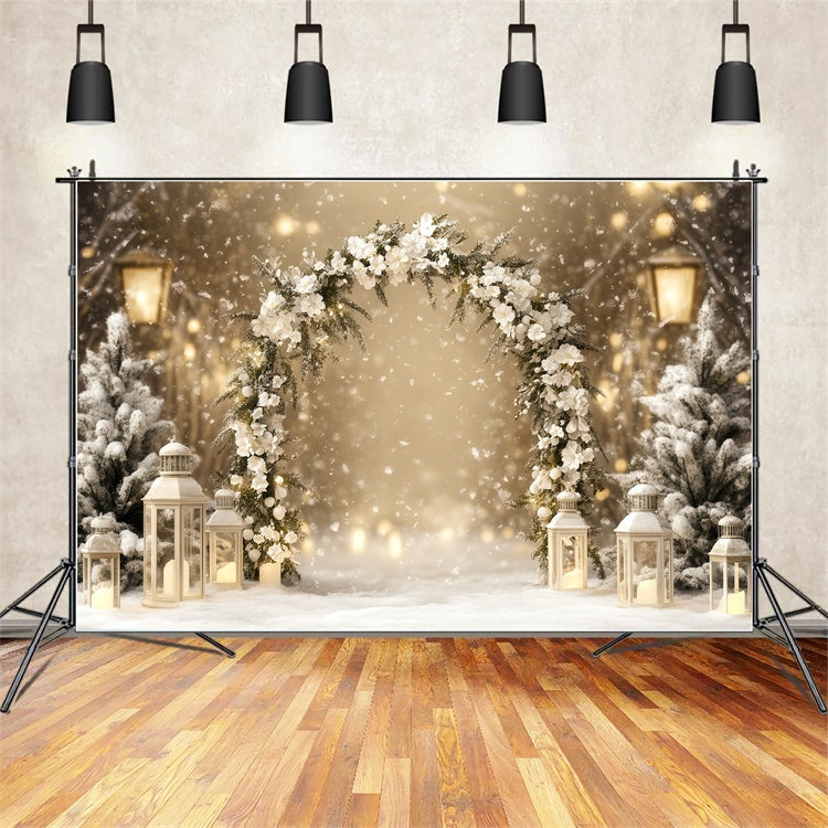Winter Photo Backdrop Elegance Lantern Path Backdrop BRP57-353