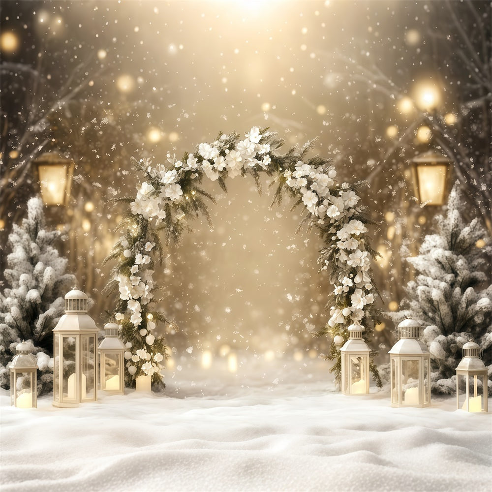 Winter Photo Backdrop Elegance Lantern Path Backdrop BRP57-353