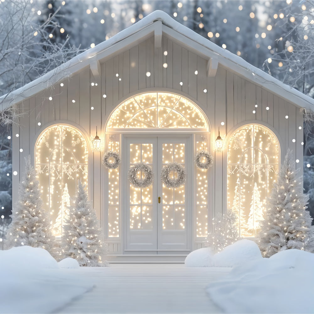 Winter Photo Backdrop Cozy Glow Winter Porch Backdrop BRP57-360