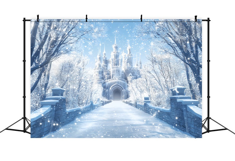 Winter Backdrop Morning Light Winter Castle Backdrop BRP57-365
