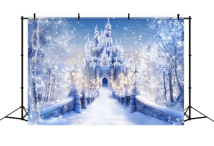 Winter Castle Backdrop Frost Castle Entrance Backdrop BRP57-366