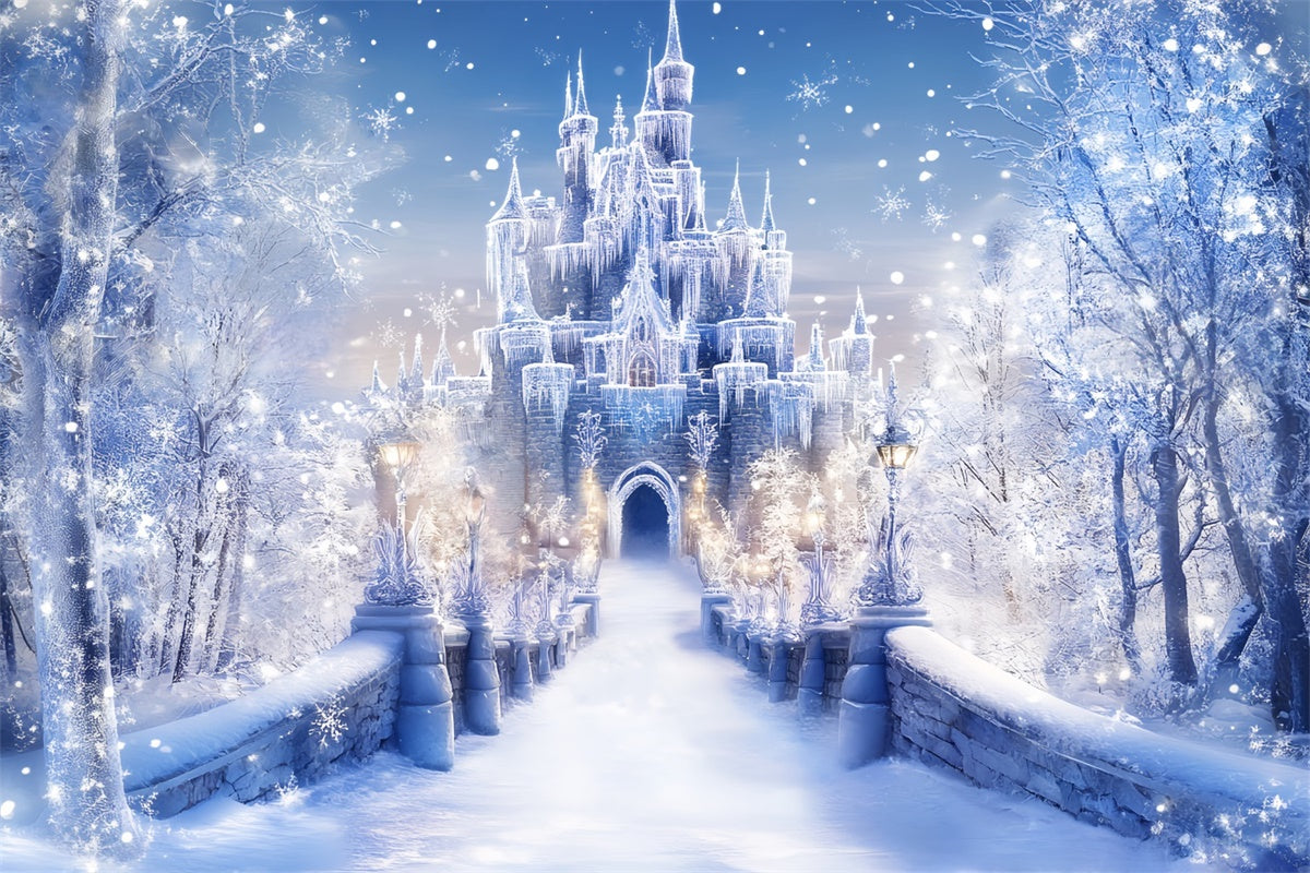 Winter Castle Backdrop Frost Castle Entrance Backdrop BRP57-366