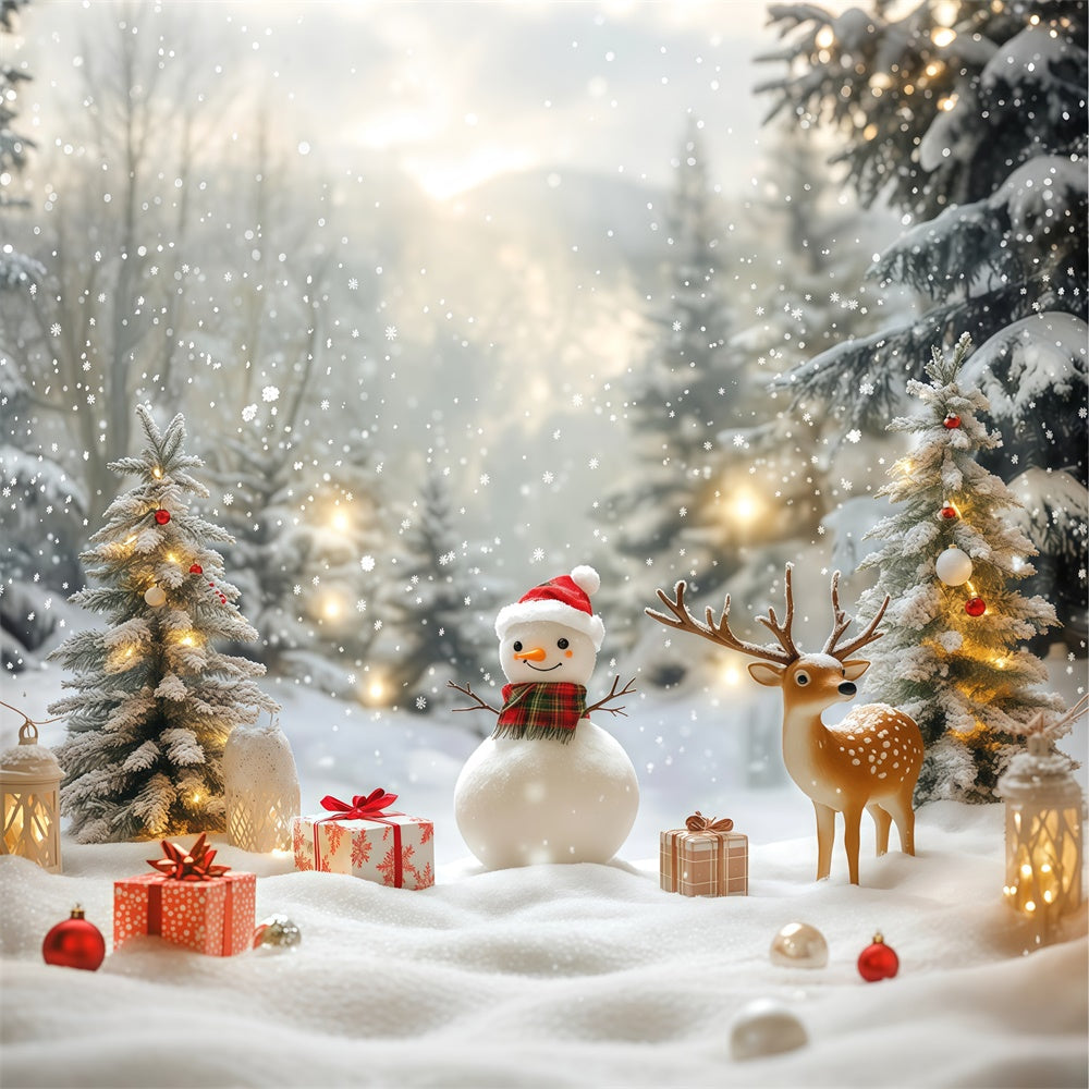 Snowy Backdrop Cozy Snowman Gift Christmas Backdrop BRP57-381