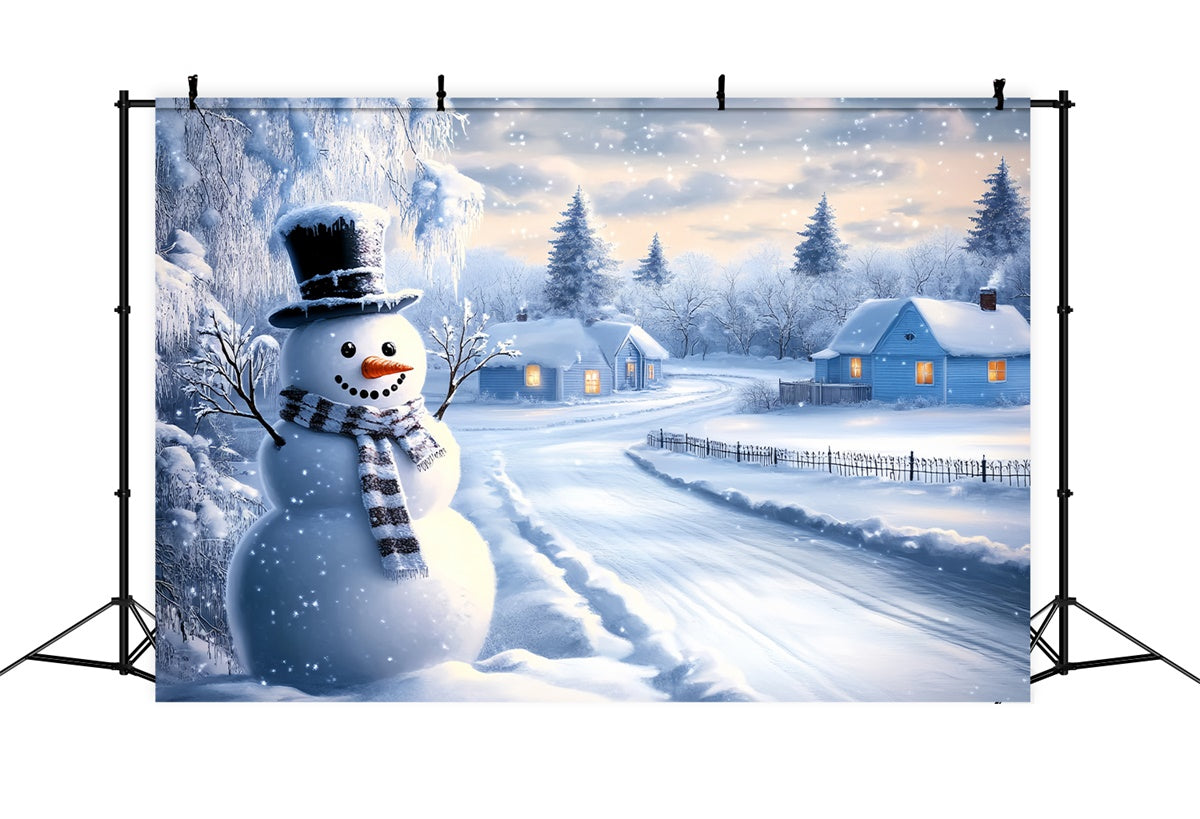 Snowy Backdrop Frosty Path Winter Cottage Backdrop BRP57-388