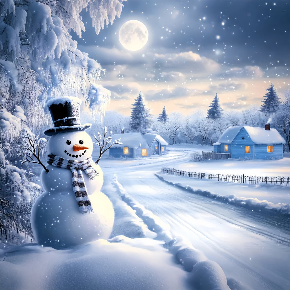 Snowy Backdrop Frosty Path Winter Cottage Backdrop BRP57-388
