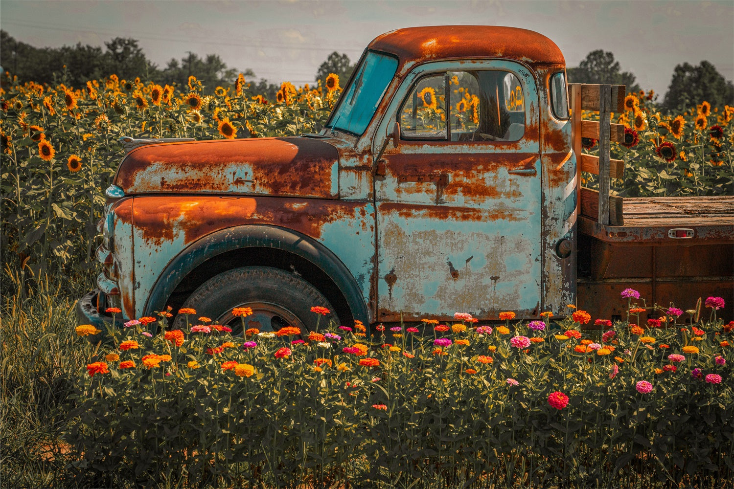 Autumn Sunflower Farm Truck Photography Backdrop BRP7 115 autumn-sunflower-farm-truck-photography-backdrop-brp7-115