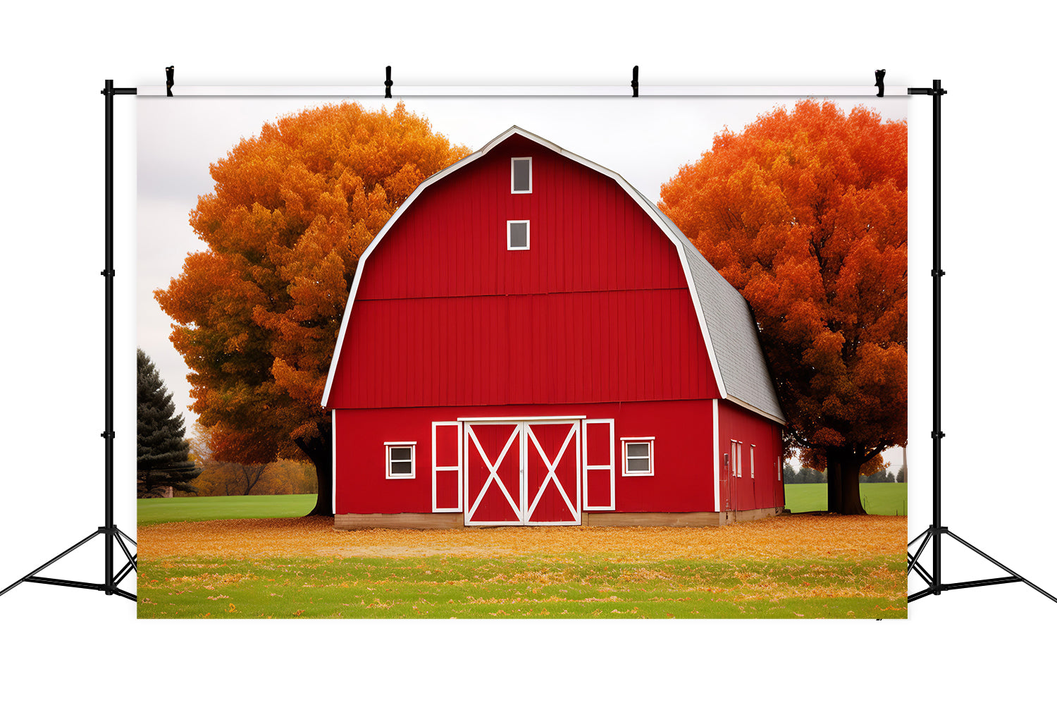 Red House Maple Leaf Meadow Autumn Backdrop BRP7-128