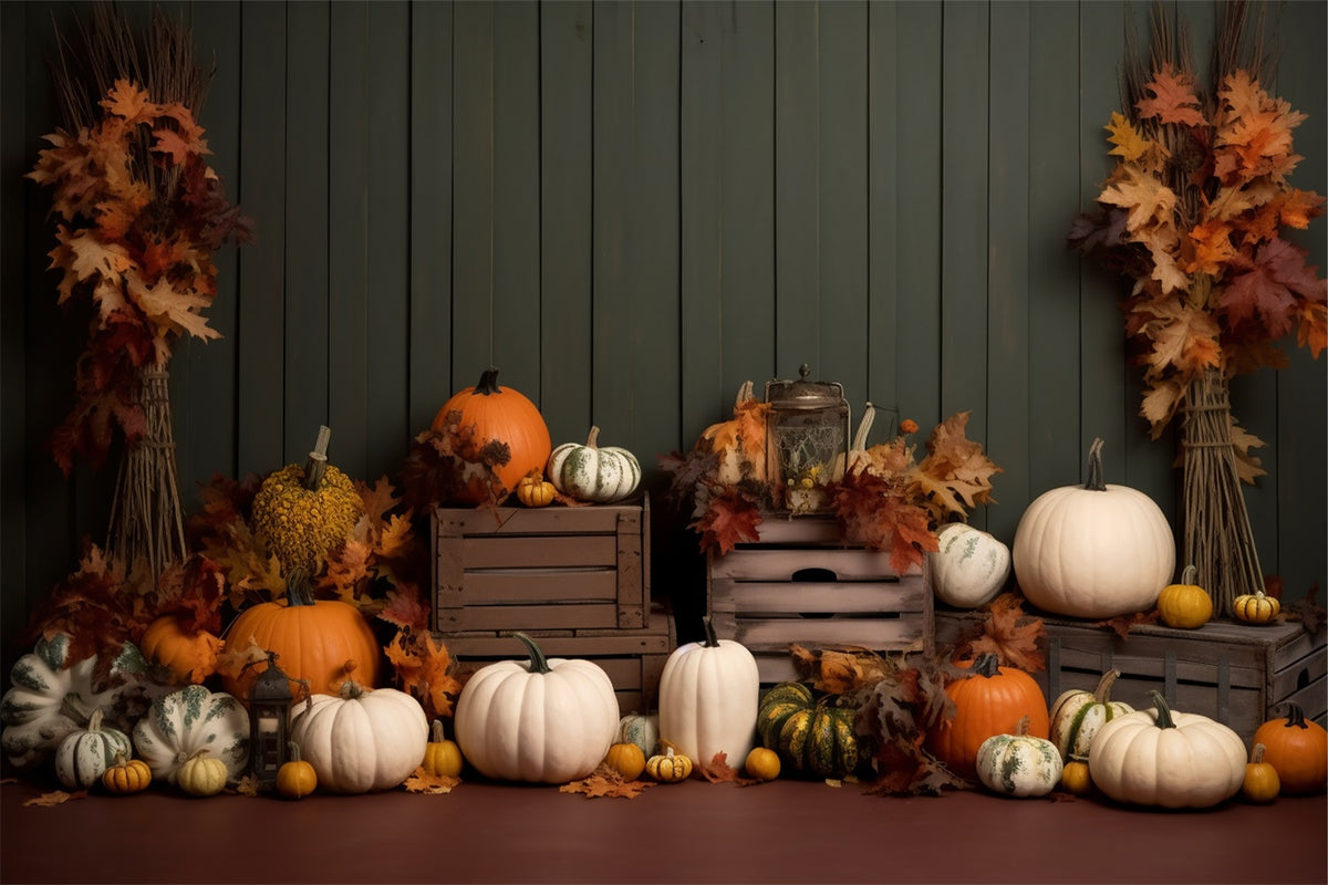 【自主制作盤 DVD】TRiDENT / AUTUMN COLLECTION Cozy Farmhouse Pumpkins Autumn Leaves Backdrop BRP9-202