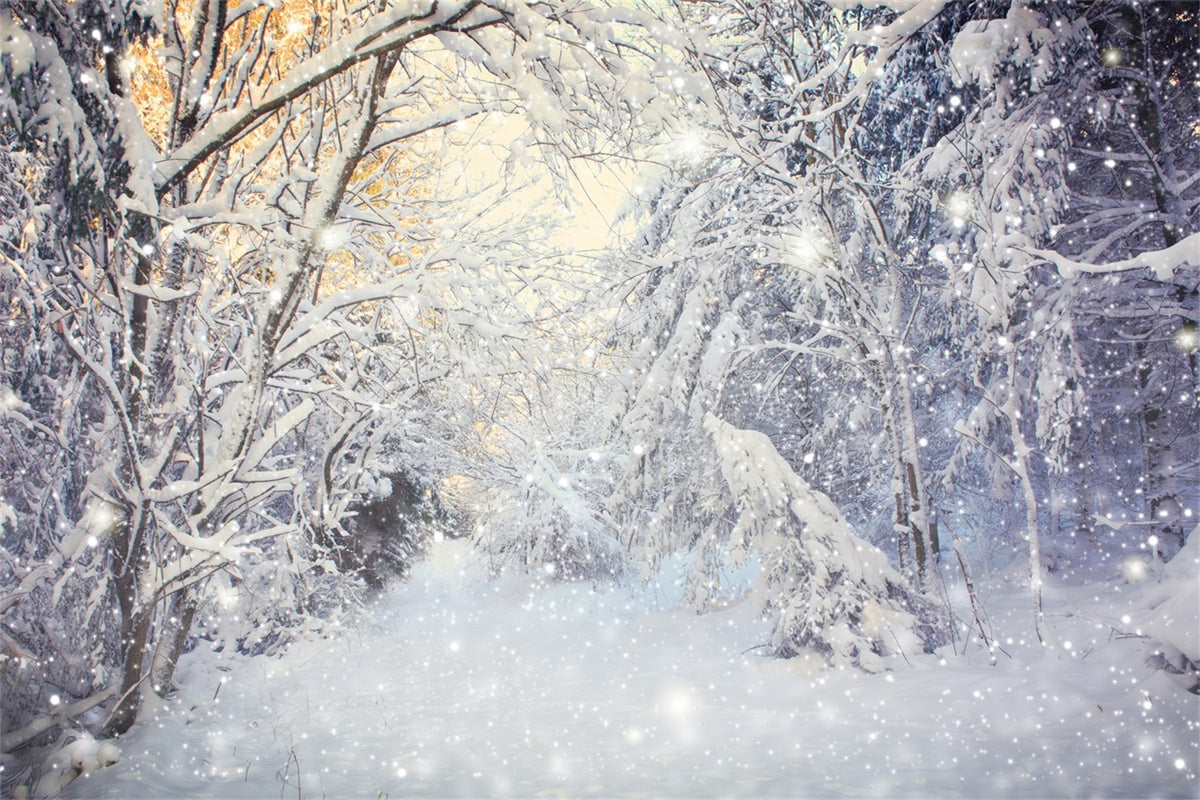 Winter Sparkling Forest Snowfall Scene Backdrop BRP9-318 – Dbackdrop