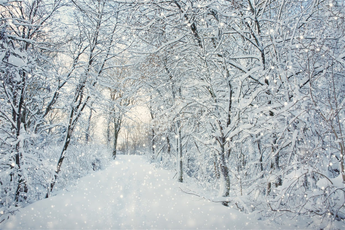 FELT  Ground Snow◆Icicle fall◆AbyssNova Snowflakes Fall Over Peaceful Winter Forest Backdrop BRP9-218