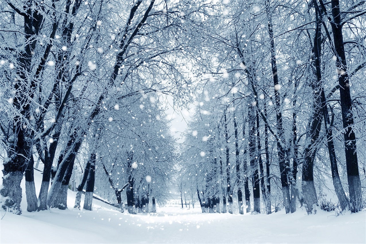 Snowy Path Enchanted Winter Forest Backdrop BRP9-324