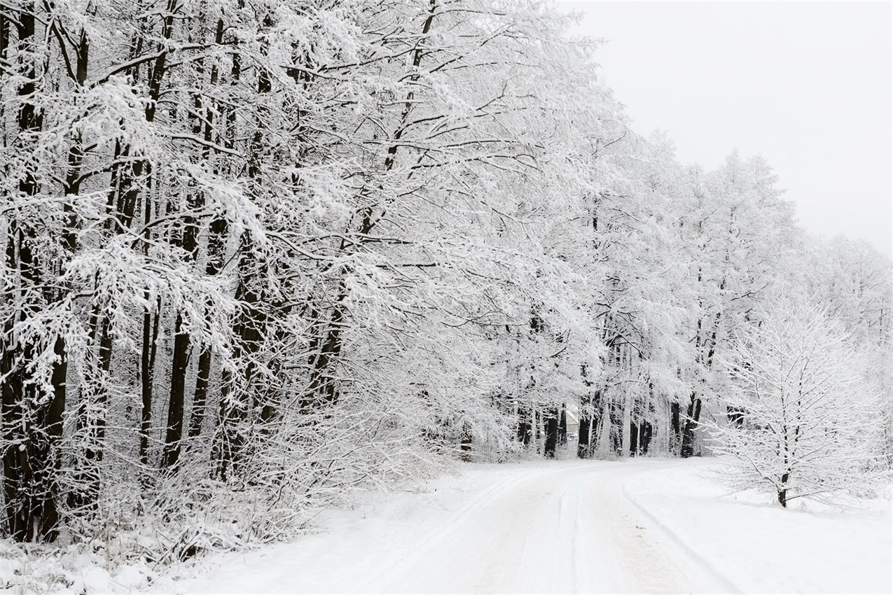 Snow Covered Forest Road Winter Wonderland Backdrop BRP9-325