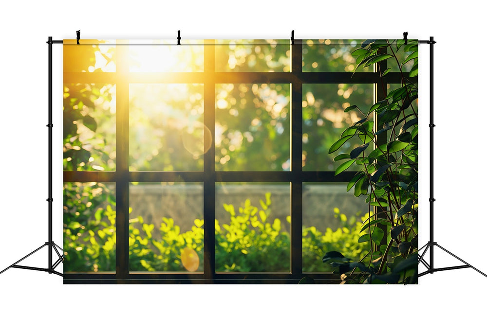 Photography Backdrops Forest Sunlit Greenery Cozy Window Backdrop CJJ2