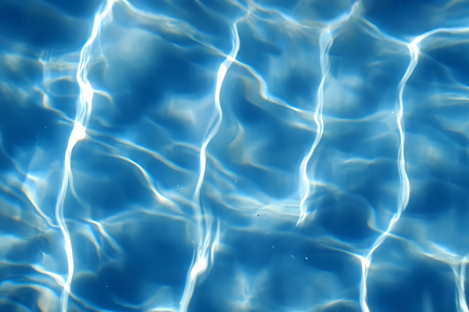 Water Backdrops Shimmering Water Reflections Summer Backdrop CSH5-116