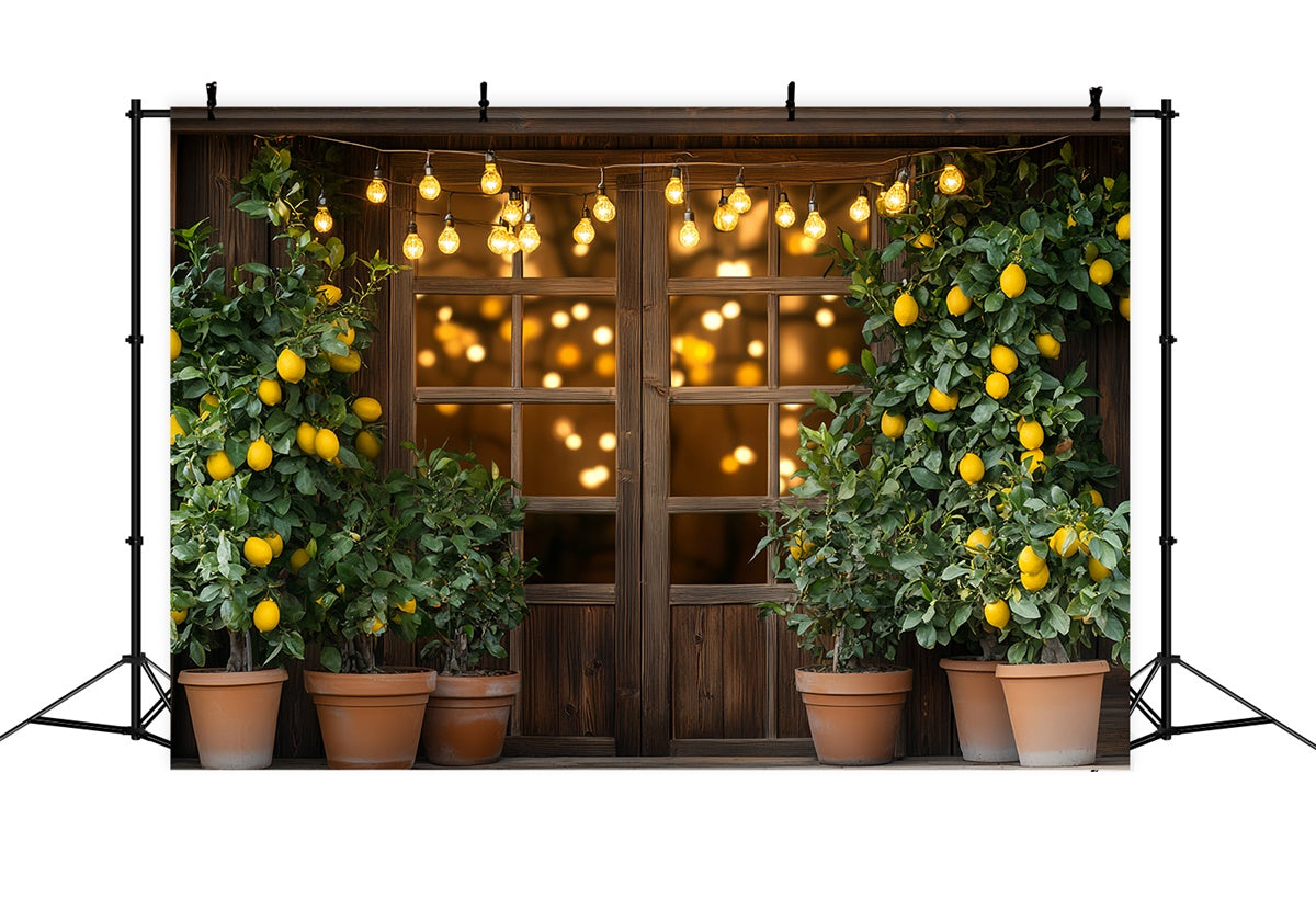 Lemon Backdrop Lemon Tree Lights Summer Backdrop CSH5-123