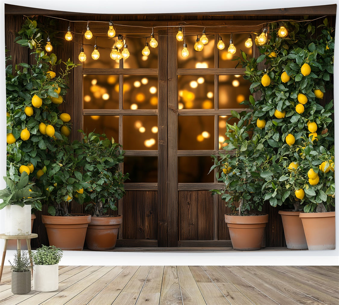 Lemon Backdrop Lemon Tree Lights Summer Backdrop CSH5-123