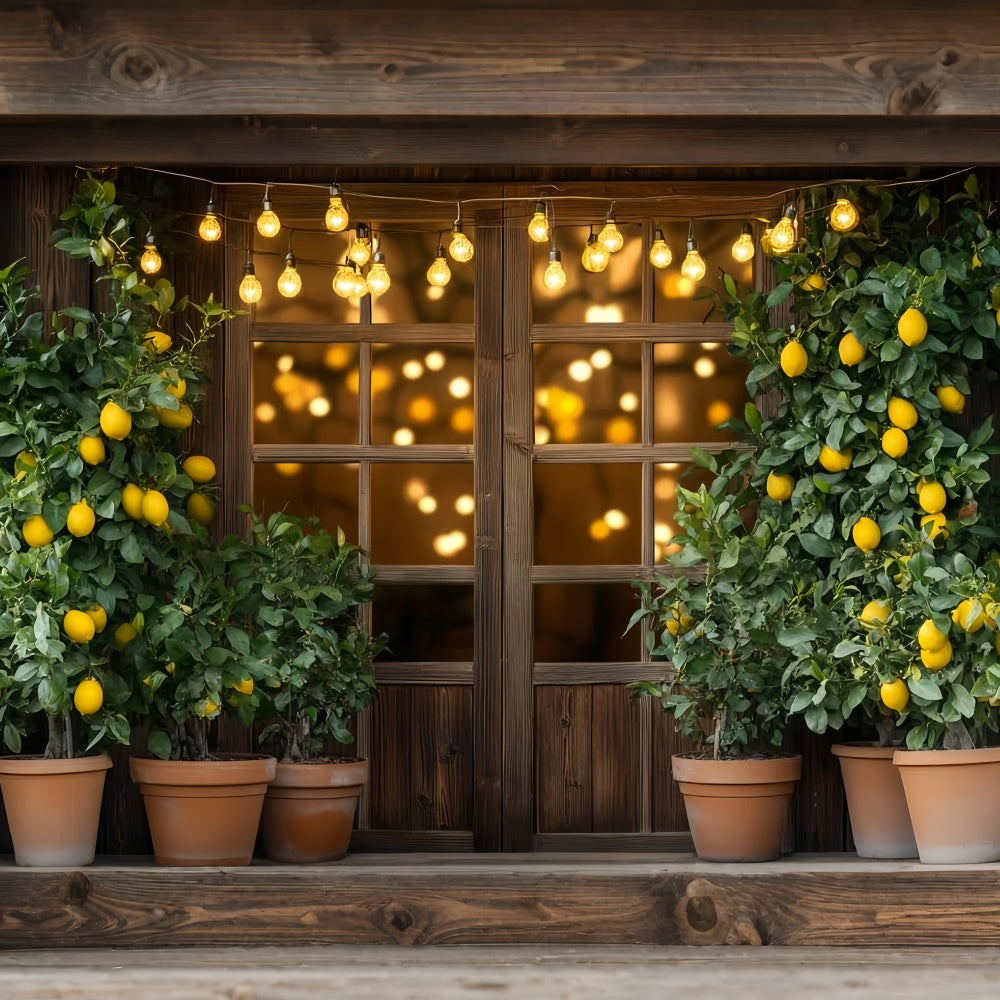 Lemon Backdrop Lemon Tree Lights Summer Backdrop CSH5-123