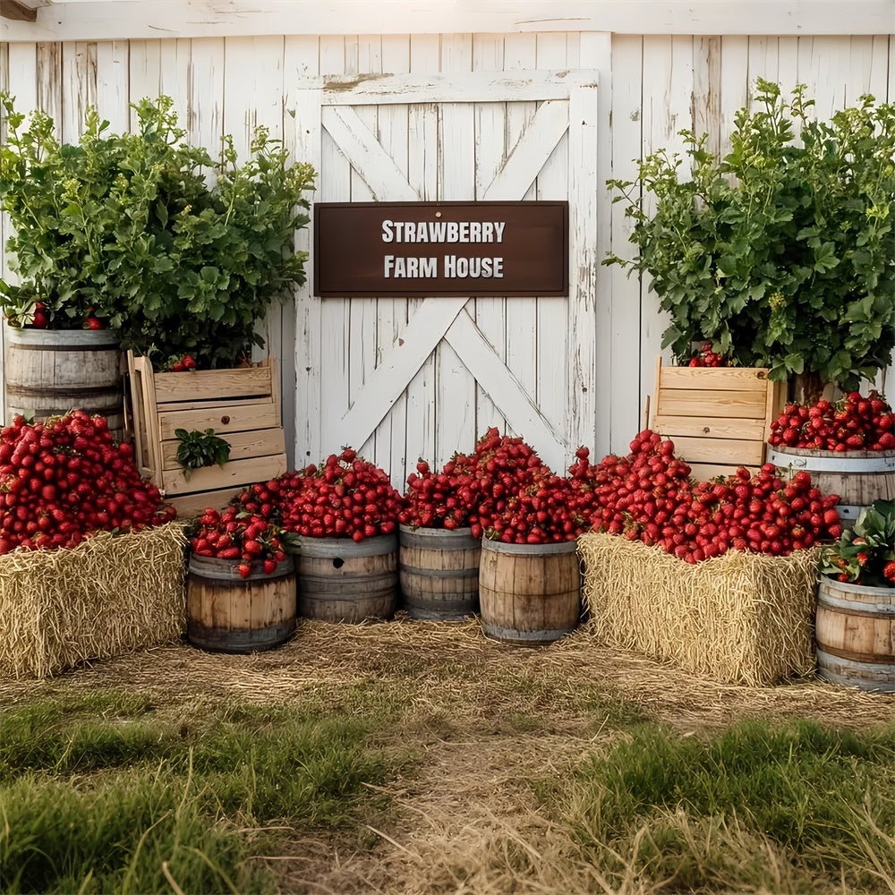 Strawberry Backdrop Rustic Strawberry Farmhouse Backdrop CSH5-128
