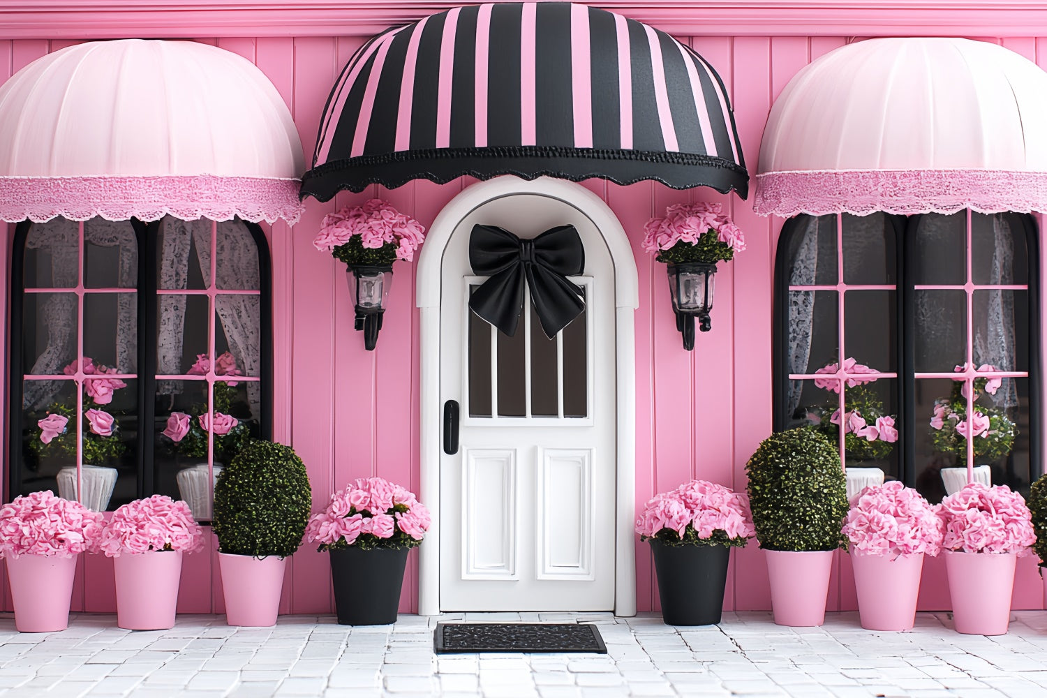 Kids Photo Backdrop Pink Boutique Rose Window Backdrop CSH5-291