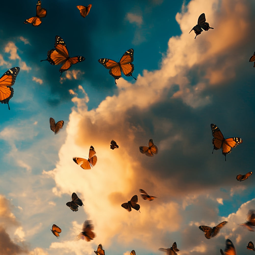 Summer Photo Backdrop Dramatic Clouds Butterfly Backdrop CSH5-73