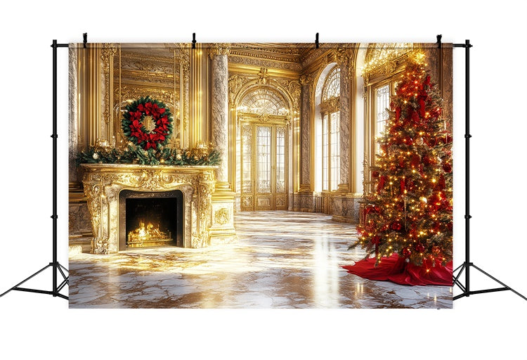 Vintage Christmas Backdrop Opulent Royal Palace Backdrop CSH57-103