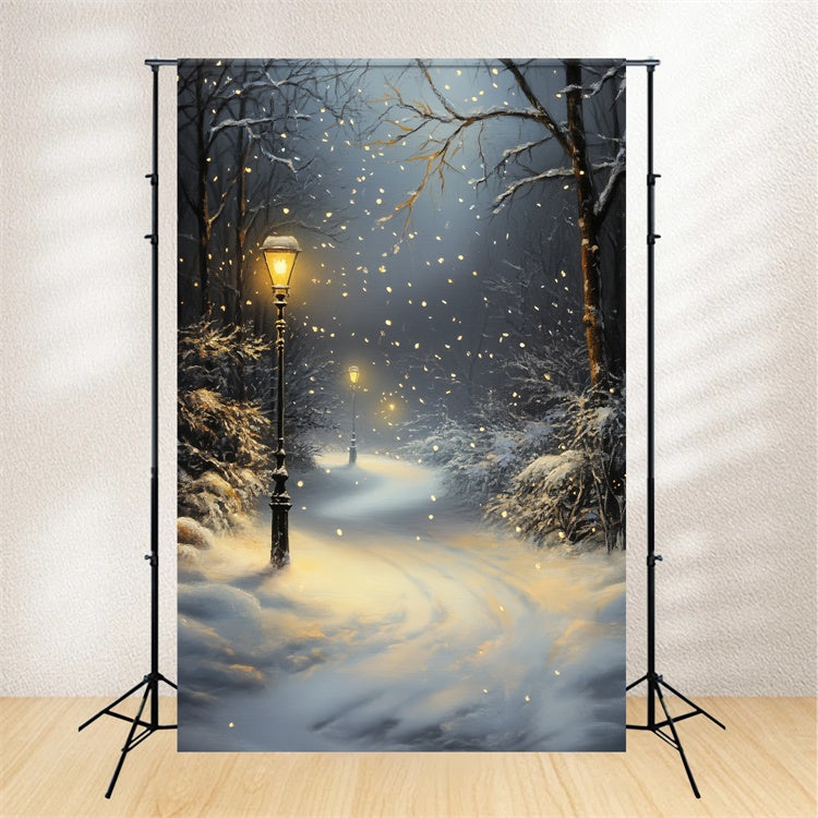 Winter Forest Backdrop Snowfall Lantern Path Backdrop CSH57-151