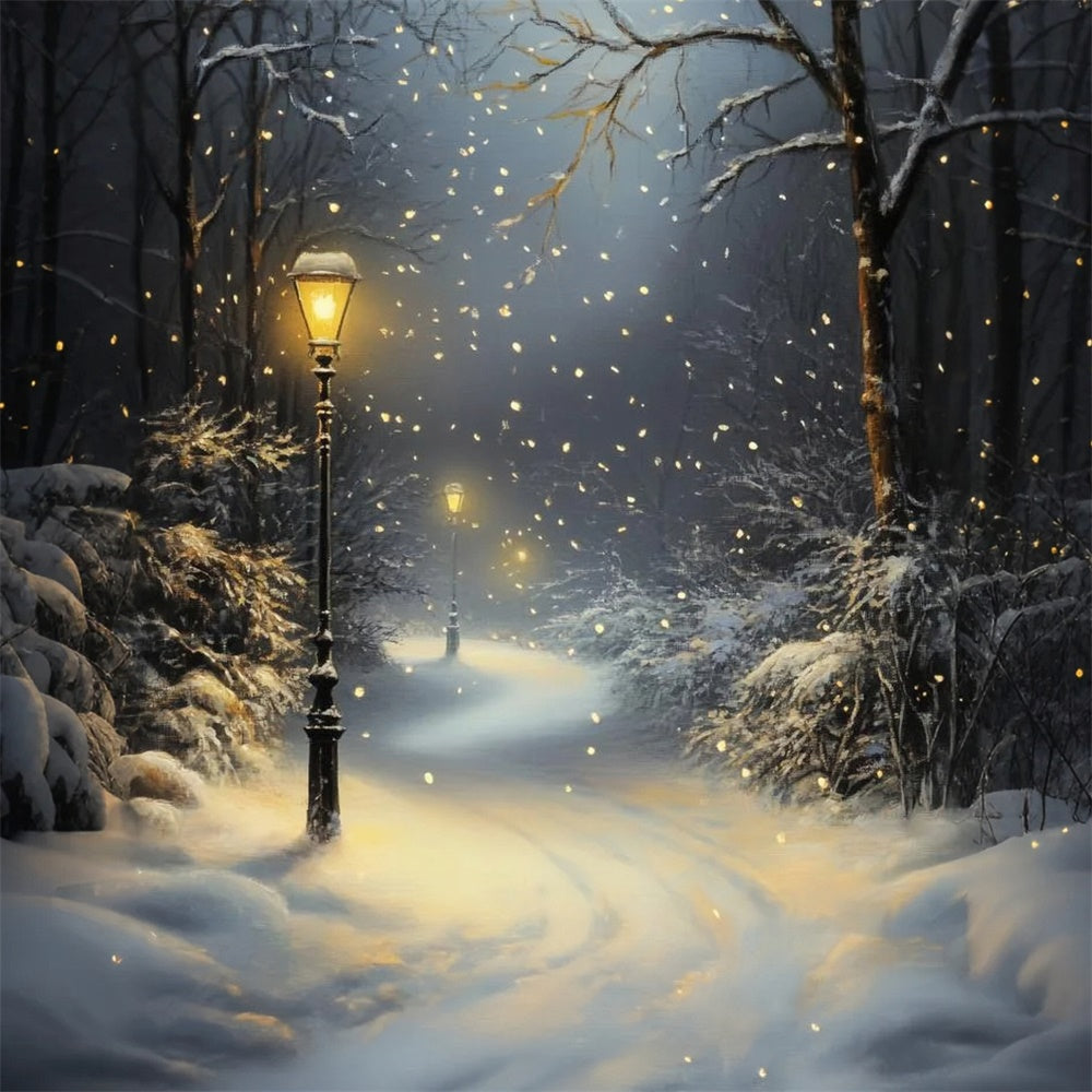 Winter Forest Backdrop Snowfall Lantern Path Backdrop CSH57-151