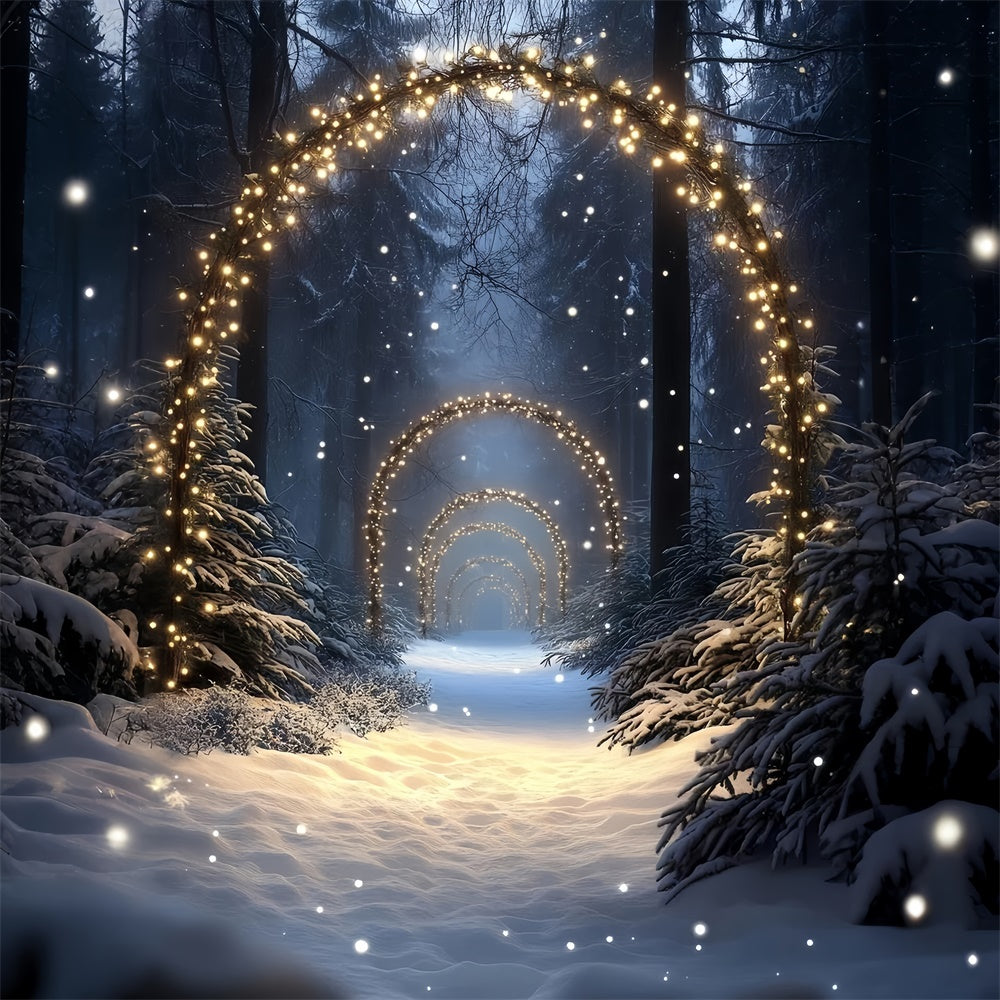 Snow Forest Backdrop Enchanted Lighted Pathway Backdrop CSH57-152