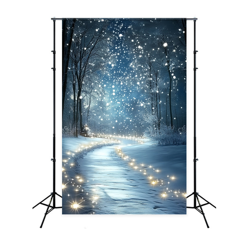 Winter Wonderland Backdrop Midnight Snow Sparkle Backdrop CSH57-201