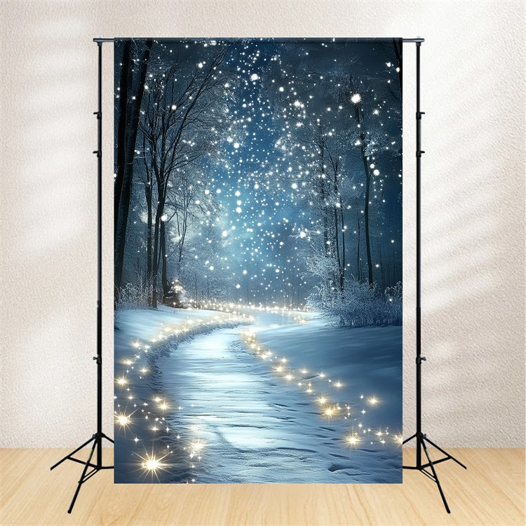 Winter Wonderland Backdrop Midnight Snow Sparkle Backdrop CSH57-201