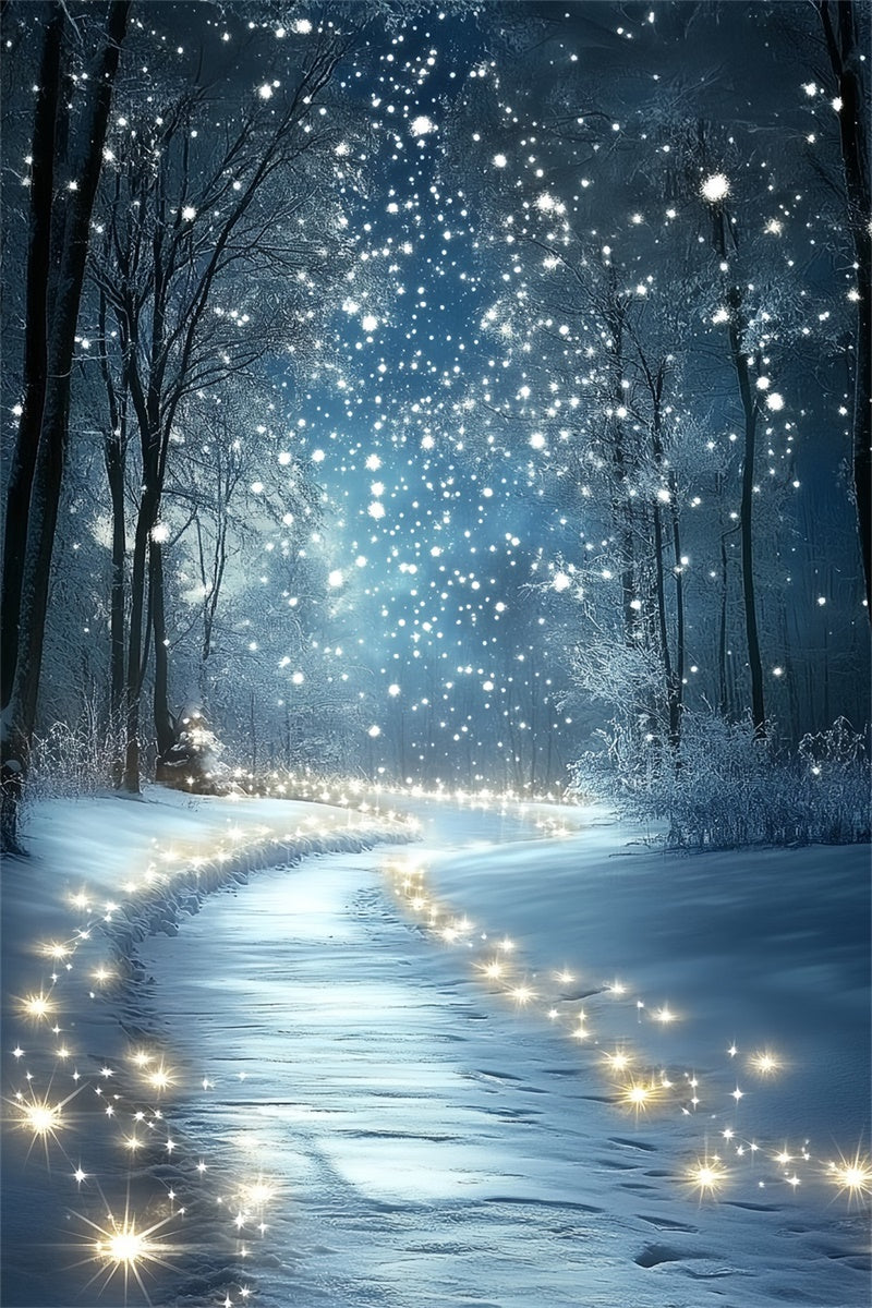 Winter Wonderland Backdrop Midnight Snow Sparkle Backdrop CSH57-201