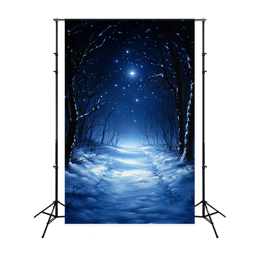 Winter Forest Backdrop Silent Midnight Woods Backdrop CSH57-202