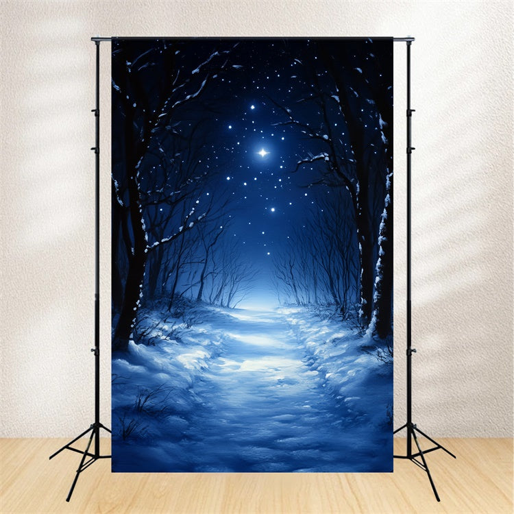 Winter Forest Backdrop Silent Midnight Woods Backdrop CSH57-202