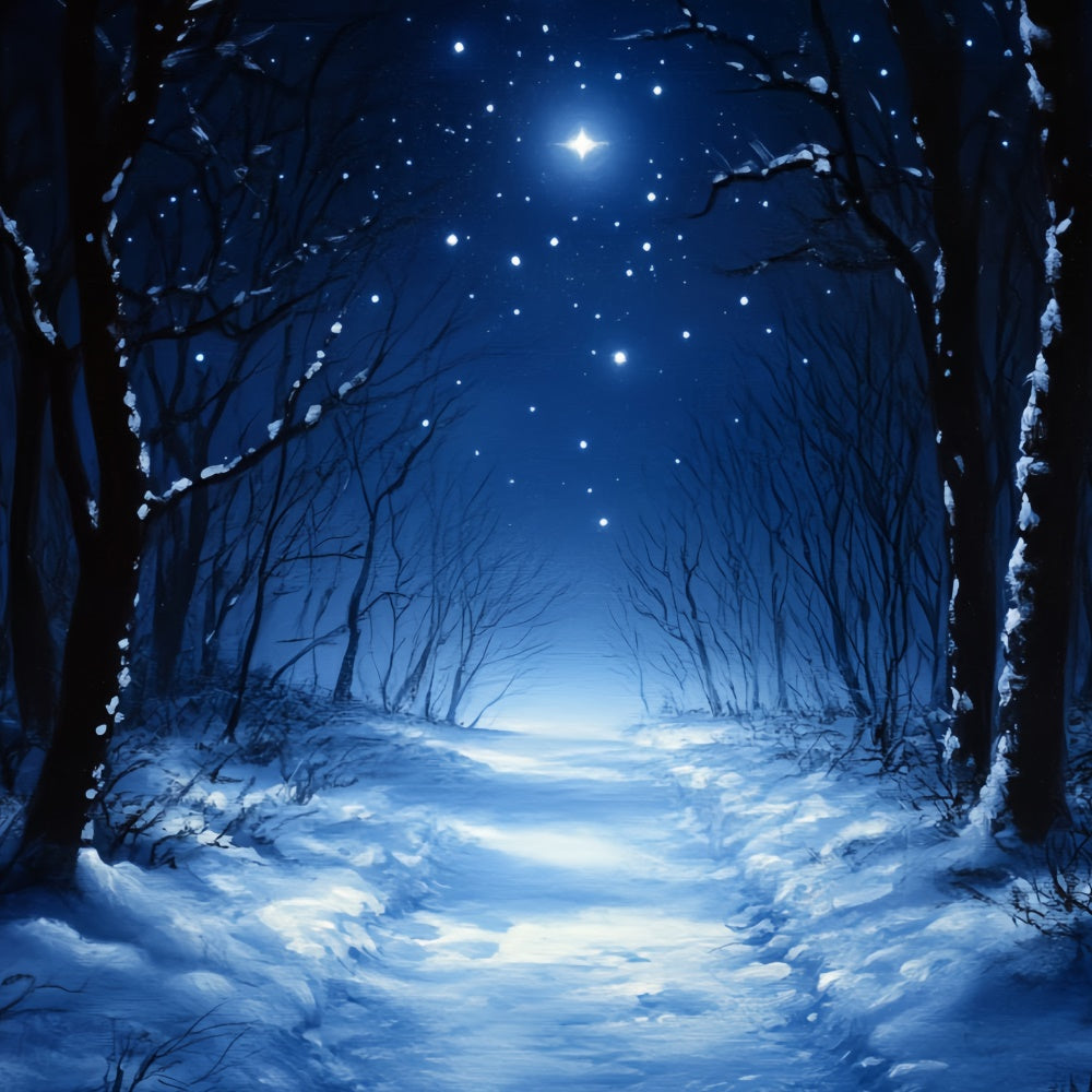 Winter Forest Backdrop Silent Midnight Woods Backdrop CSH57-202